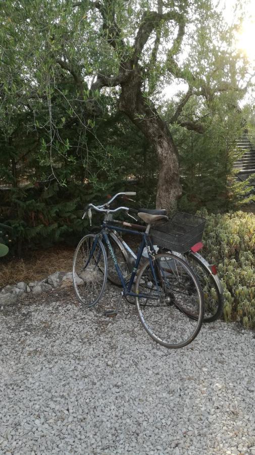 B&B Villa Mediterranee Con Parking Space Trani Exterior photo