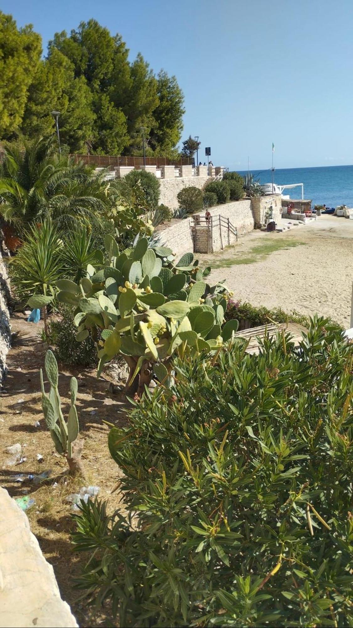 B&B Villa Mediterranee Con Parking Space Trani Exterior photo