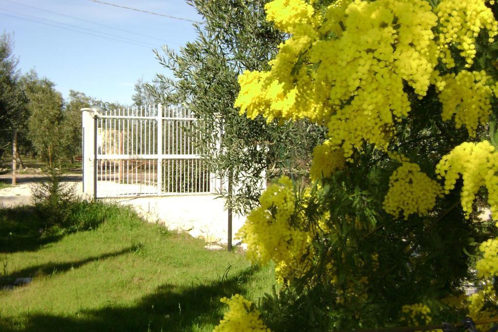 B&B Villa Mediterranee Con Parking Space Trani Exterior photo